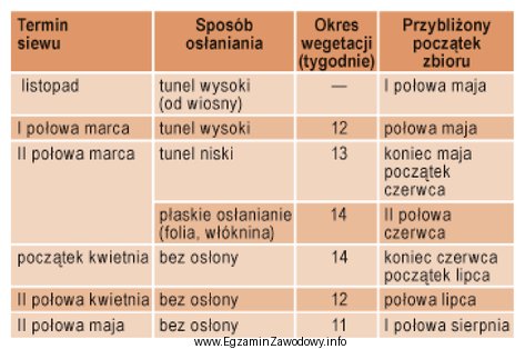 Na podstawie danych przedstawionych w tabeli wskaż, kiedy należy 