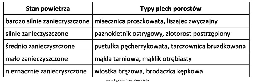 Na pniach drzew w parku zaobserwowano porosty: pustułkę pę