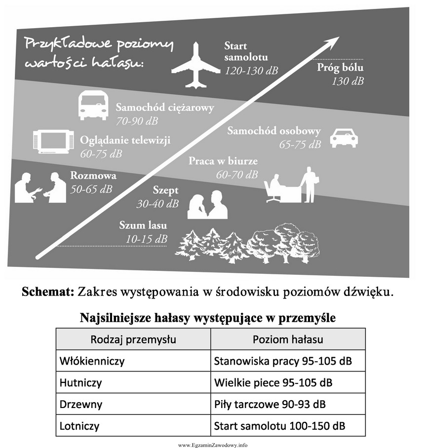 Określ, na podstawie informacji zamieszczonych w tabeli oraz zaprezentowanych 