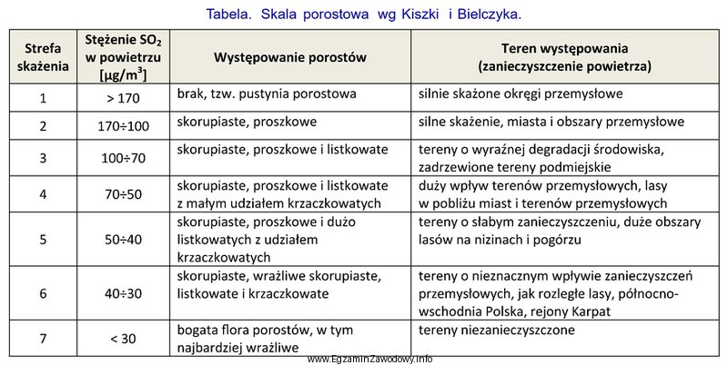 Na podstawie informacji zawartych w tabeli określ, jakie stę