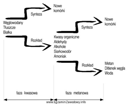 Który proces mikrobiologiczny zastosowany podczas unieszkodliwiania osadów ś