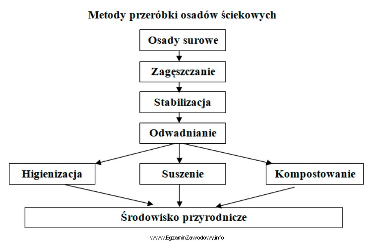 Podczas przeróbki osadów ściekowych poletka i laguny 