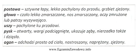 Opisane w tabeli objawy sygnalizują u psa