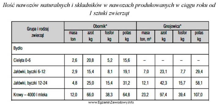 Oblicz roczną produkcję obornika w gospodarstwie przy oborowym systemie utrzymania 