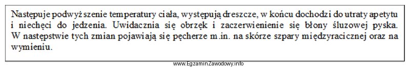 Przedstawiony opis wskazuje na