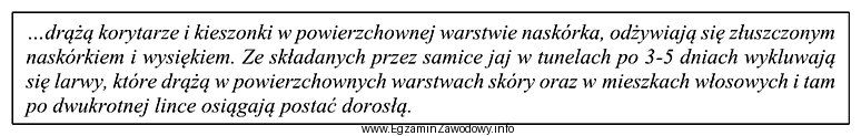 Przedstawiony opis charakteryzuje