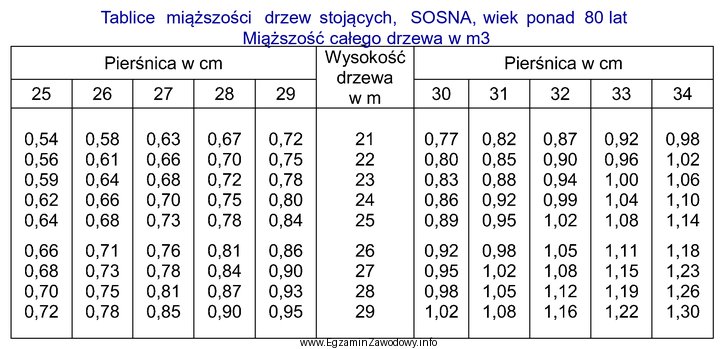 Miąższość całego drzewa 85 letniej sosny o 