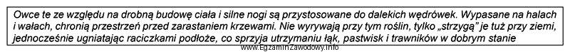 Którą rasę owiec wykorzystuje się do usługowego wypasu?