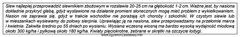 Której rośliny uprawnej dotyczy zamieszczony opis siewu?