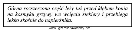 Przedstawiony w ramce opis dopasowania elementu uprzęży szorowej 