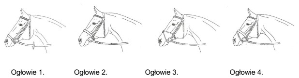 Wskaż ogłowie wędzidłowe z nachrapnikiem hanowerskim.
