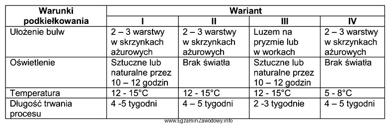 Który wariant zapewnia optymalne warunki podkiełkowania sadzeniaków?