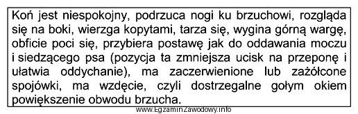 Której choroby koni dotyczy opis?