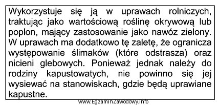 Której rośliny poplonowej dostarczającej pożytku dotyczy 