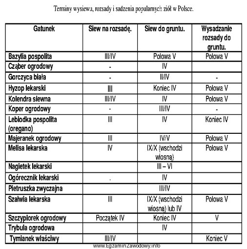 Na podstawie danych zawartych w tabeli wskaż warzywo przyprawowe, któ