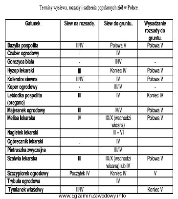 Na podstawie informacji zawartych w tabeli wskaż warzywo przyprawowe, któ