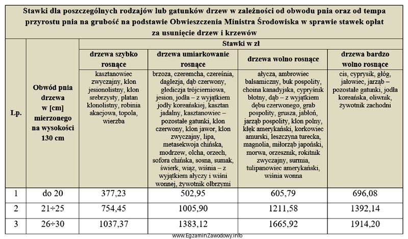 Przedsiębiorca uzyskał zezwolenie na usunięcie na swojej posesji 