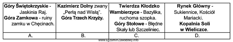 Grupa turystów pragnąca zwiedzić Kraków i okolice 