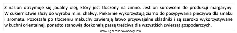 Zamieszczony opis dotyczy