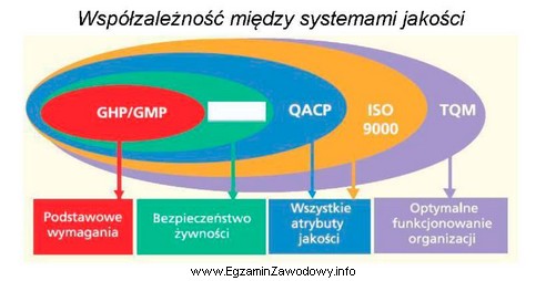 Którego elementu – oznaczonego na schemacie białym polem 