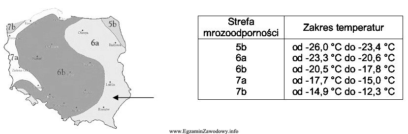 W gospodarstwie, położonym na terenie wskazanym strzałką 