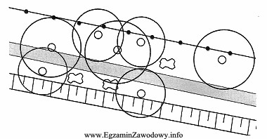 Na przedstawionym wycinku planu szczegółowej inwentaryzacji ogrodu są 