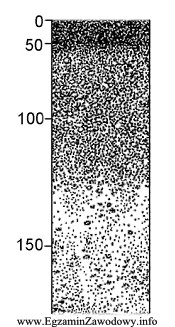 Na przedstawionym profilu glebowym poziom próchniczny znajduje się na 