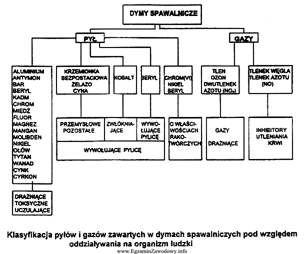 Na podstawie podanej na rysunku klasyfikacji określ, który 