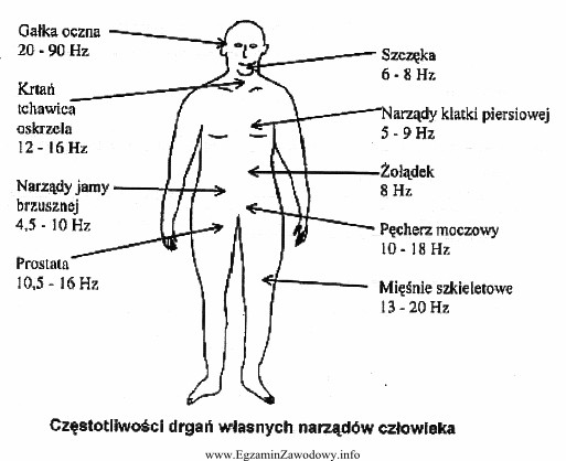 Pracownik obsługujący młot pneumatyczny narażony jest 