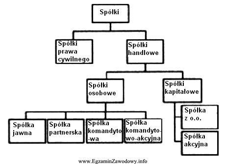 Na podstawie schematu przedstawiającego klasyfikację spółek, wskaż 