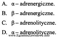 Dihydroergotamina wykazuje działanie