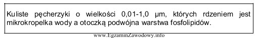 Jaką postać leku charakteryzuje przedstawiony opis?