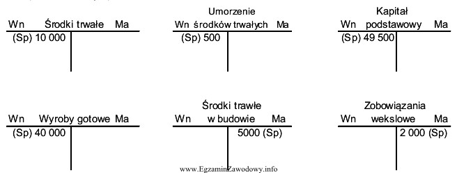 W jednostce gospodarczej na wybrane konta księgowe naniesiono salda 