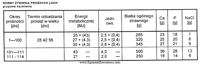 Korzystając z danych w tabeli, określ zapotrzebowanie loch 