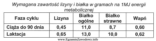 Mieszanka pełnoporcjowa dla loch karmiących zawiera 12 MJ energii 