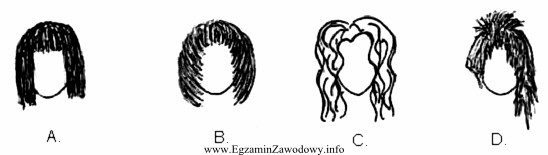 Który z rysunków przedstawia kontur wewnętrzny uczesania 