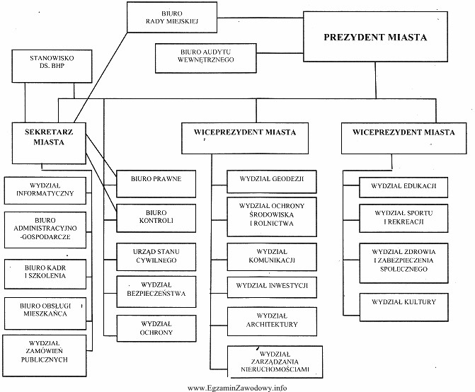 Z zamieszczonego schematu struktury organizacyjnej Urzędu Miasta wynika, iż 