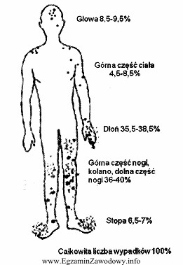 Z rysunku wynika, że najczęstsze umiejscowienie urazów 