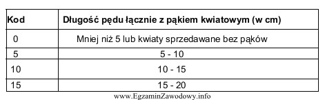 Pęd ma długość 11 cm, a pąk 