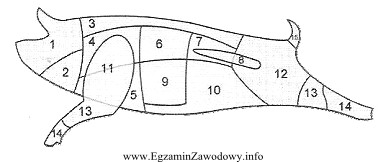 Na schemacie półtuszy wieprzowej elementem kulinarnym oznaczonym nr 11 