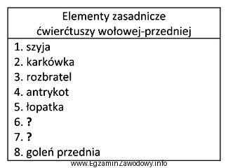 Wskaż brakujące elementy zasadnicze ćwierćtuszy wołowej 