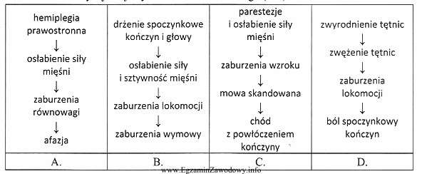 Który schemat charakteryzuje objawy stwardnienia rozsianego (SM)?