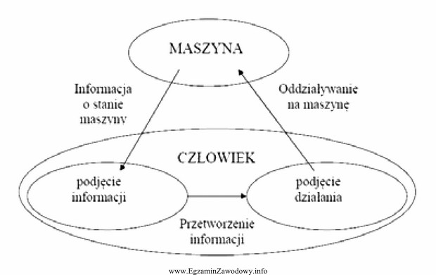 Na diagramie przedstawiono zamknięty układ człowiek - 