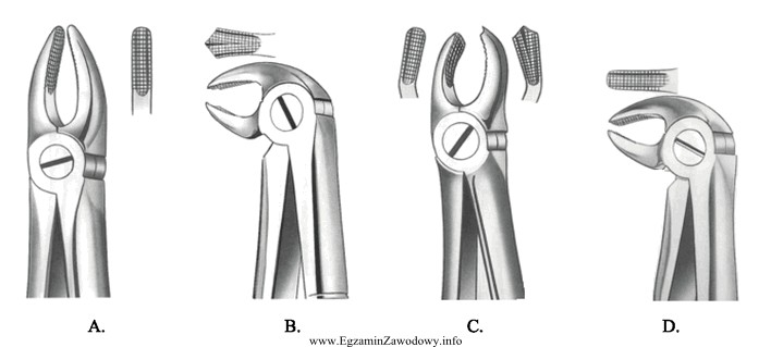 Które kleszcze służą do usuwania zęba 16?