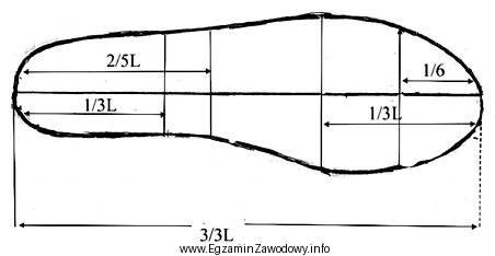 Którą długość stopy należy wybrać, aby 