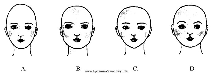 Który kształt głowy jest najbardziej zbliżony 