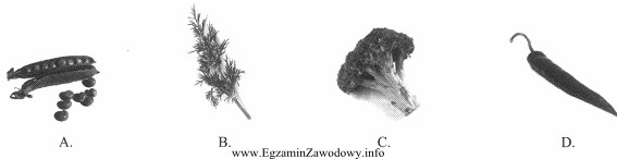 Który z towarów przedstawionych na obrazkach jest zaliczany 